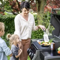 Barbecue Gaz Rogue 365 R 2 Brûleurs - NAPOLEON -Barbecue Soldes Boutique barbecue gaz rogue 365 serie r 2 bruleurs 2