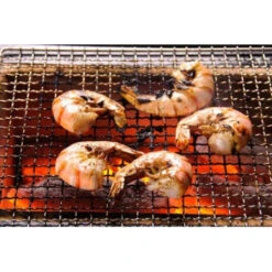 Barbecue Japonais Konro Stove 54 X 23 X 20 Cm BQ8WF 13 Barbecue Japonais Konro Stove 54 X 23 X 20 Cm BQ8WF -Barbecue Soldes Boutique barbecue japonais konro stove 54 x 23 x 20 cm bq8wf 4