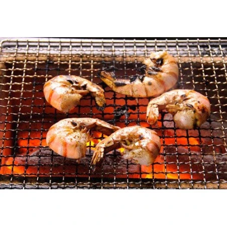 Barbecue Japonais Konro Stove 54 X 23 X 20 Cm BQ8WF 7 Barbecue Japonais Konro Stove 54 X 23 X 20 Cm BQ8WF – Image 5